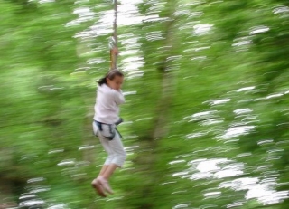 Aventure en sous bois a Creac h Gwen